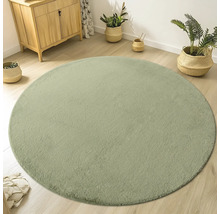Tapis rond dans le salon avec commode et plantes d'intérieur