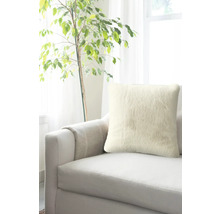 Dekokissen auf einem Sofa neben einer Zimmerpflanze