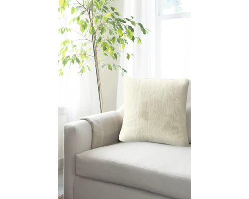 Dekokissen auf einem Sofa neben einer Zimmerpflanze