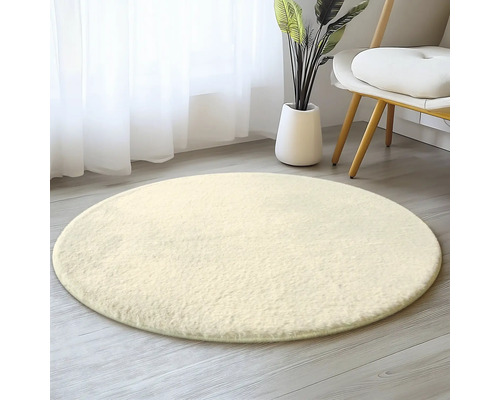 Tapis rond dans le salon