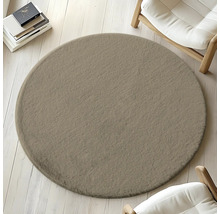 Tapis rond sur parquet à côté de chaises et de livres