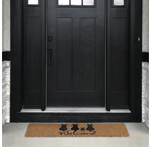 Paillasson devant une porte d'entrée avec un motif de chat et le mot Bienvenue