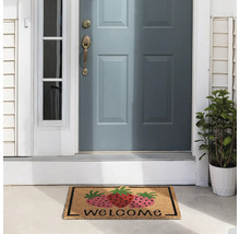 Paillasson avec motif de fraises et inscription de bienvenue devant une porte d'entrée