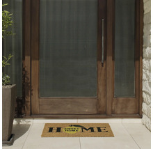 Zone d'entrée avec paillasson et porte d'entrée