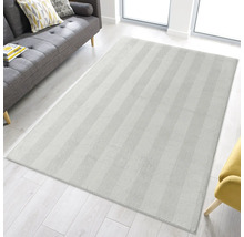 Tapis rectangulaire à chevrons dans un salon lumineux.
