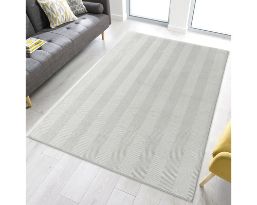 Tapis rectangulaire à chevrons dans un salon lumineux.