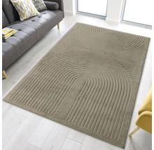 Tapis rectangulaire avec motif en demi-cercle dans le salon.