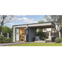 Abri de jardin avec annexe, mobilier de jardin et décoration dans le jardin