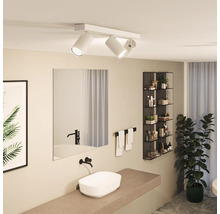 Salle de bain avec plafonnier à trois spots, miroir, lavabo et décoration