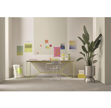 Heller Arbeitsplatz mit Schreibtisch, Stuhl, Zimmerpflanze und Dekoration