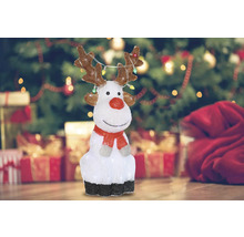 Dekorativer Ren mit Beleuchtung für die Weihnachtszeit.