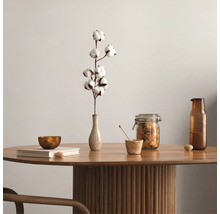 Table décorative avec branche de coton, bocal de pâtes et vaisselle