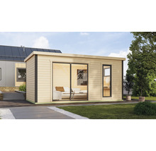 Maison de jardin moderne avec porte coulissante et fenêtre