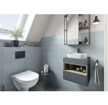 Salle de bains moderne avec toilettes, lavabo et armoire de toilette sous un vasistas