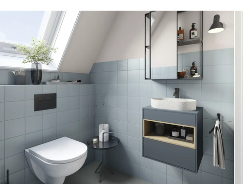 Salle de bains moderne avec toilettes, lavabo et armoire de toilette sous un vasistas
