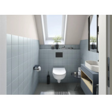 Salle de bains avec toilettes, lavabo et fenêtre de toit