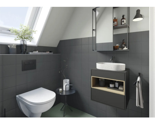 Salle de bains moderne avec fenêtre de toit, meuble-lavabo, armoire de toilette et WC suspendu.