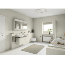 Salle de bains lumineuse avec double vasque, armoire de toilette, baignoire et fenêtre