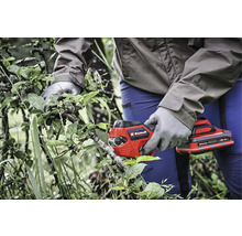 Akku-Gartenschere beim Beschneiden von Ästen