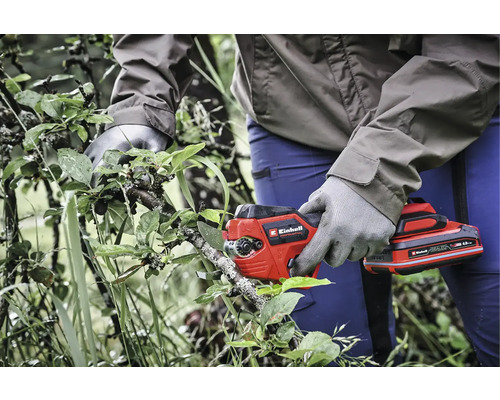 Akku-Gartenschere beim Beschneiden von Ästen