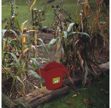 Rote Giesskanne im Gartenbeet zwischen Pflanzen