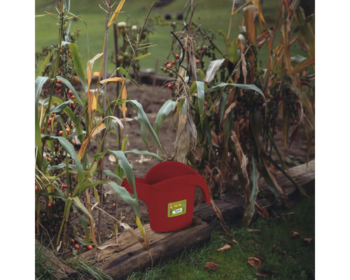 Rote Giesskanne im Gartenbeet zwischen Pflanzen