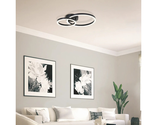 Plafonnier avec deux éléments circulaires dans un salon lumineux.