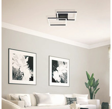 Salon moderne avec plafonnier rectangulaire et décorations murales florales.