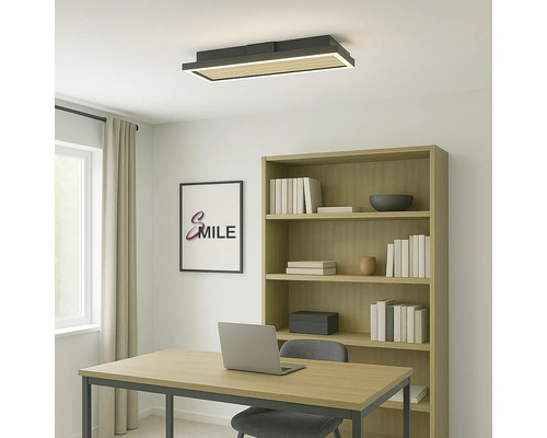 Bureau avec bureau, chaise, bibliothèque et plafonnier