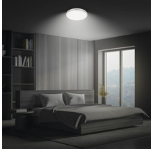 Schlafzimmer mit Bett, Regal, Fenster und runder Deckenleuchte