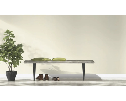 Scène lumineuse avec banc, coussins, plante d'intérieur et chaussures contre un mur