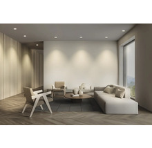 Helles Wohnzimmer mit Sofa, Sesseln und Holzfußboden