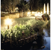 Beleuchteter Garten mit Teich und Pflanzen bei Nacht.