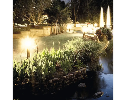 Beleuchteter Garten mit Teich und Pflanzen bei Nacht.