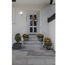 Espace d'entrée avec escalier, porte d'entrée avec décorations florales et plantes en pot.