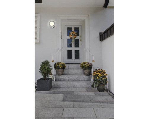 Espace d'entrée avec escalier, porte d'entrée avec décorations florales et plantes en pot.