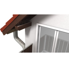 Pics anti-pigeons installés sur un toit et une gouttière