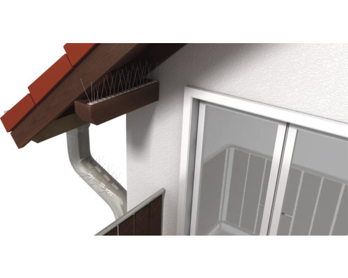 Pics anti-pigeons installés sur un toit et une gouttière