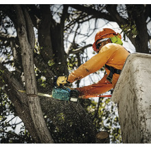 Un arboriste coupe un arbre avec une tronçonneuse.