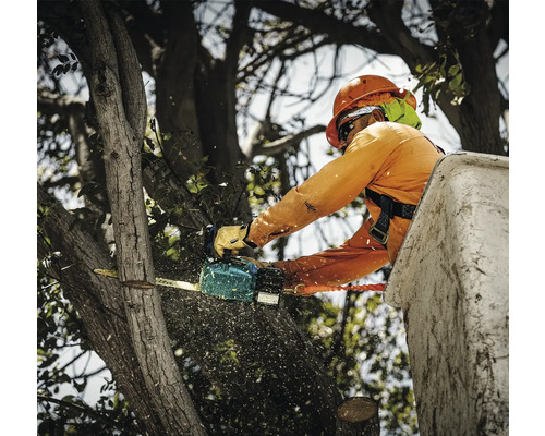 Un arboriste coupe un arbre avec une tronçonneuse.