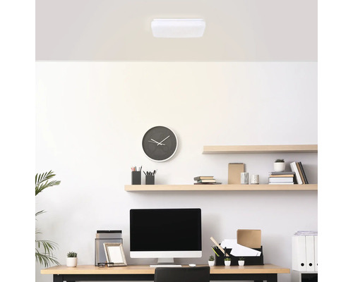 Bureau avec bureau, étagères et plafonnier