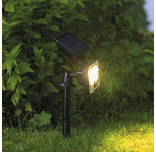 Lampe solaire dans le jardin pour éclairer les plantes