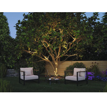 Espace jardin avec mobilier de jardin et arbre avec guirlandes lumineuses