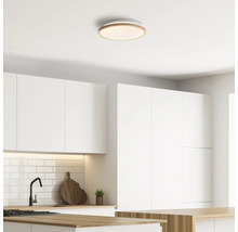 Plafond avec plafonnier rond dans une cuisine moderne