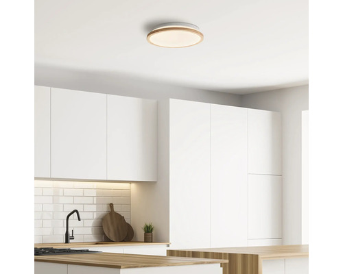 Plafond avec plafonnier rond dans une cuisine moderne