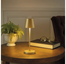 Goldene Tischleuchte neben Buch und Pflanze auf rundem Tisch