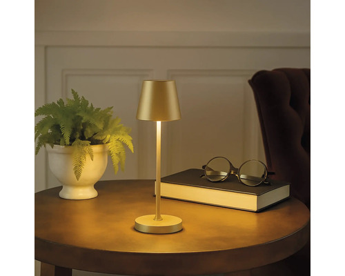 Goldene Tischleuchte neben Buch und Pflanze auf rundem Tisch