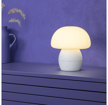 Pilzförmige Tischleuchte auf einem Schrank