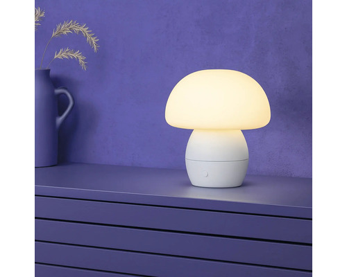 Pilzförmige Tischleuchte auf einem Schrank