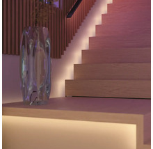 Escalier décoratif avec éclairage indirect et un vase